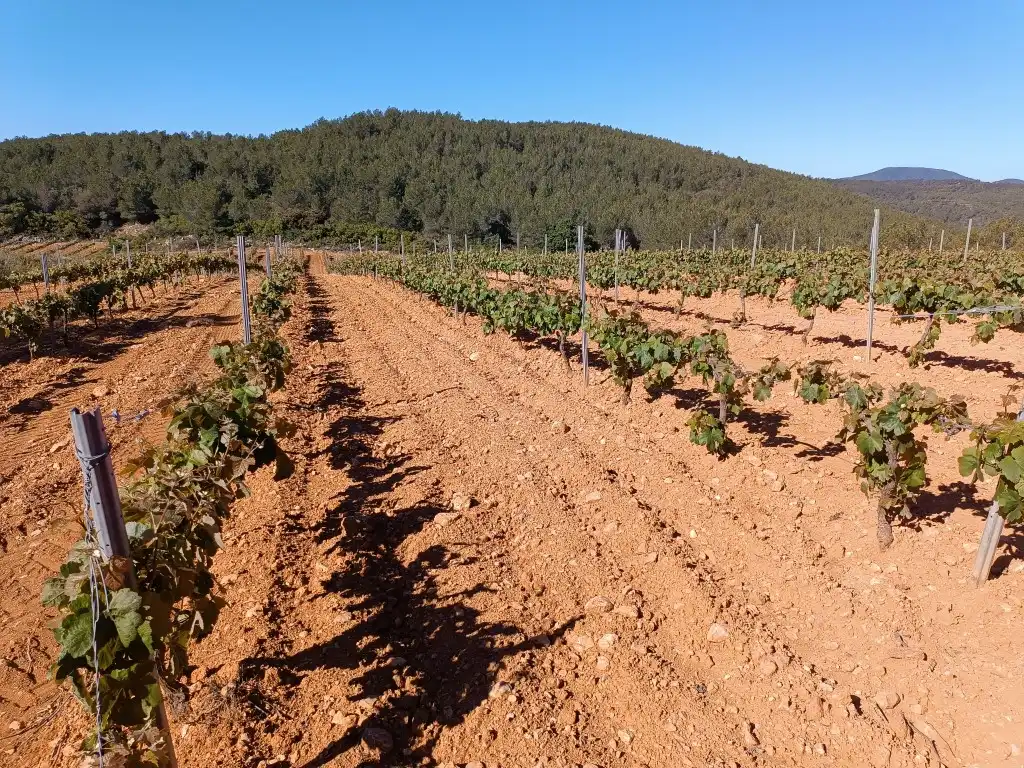 Rustikales Grundstück zum Verkauf in Sant Julià, imagen 10