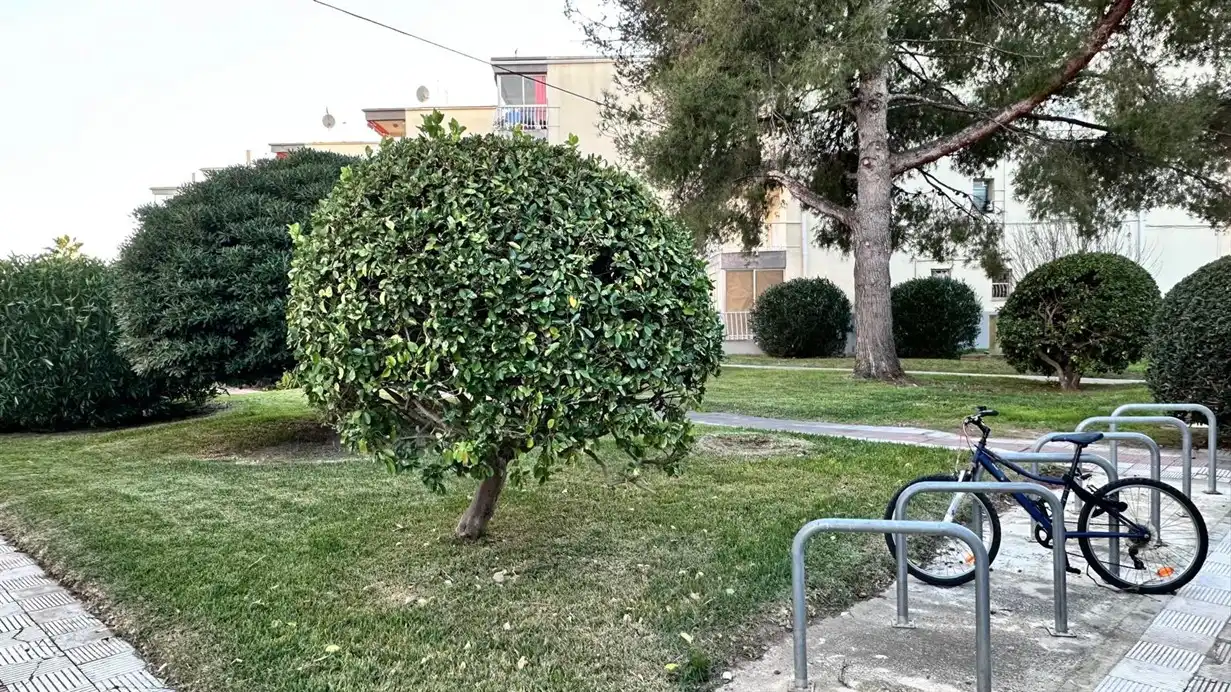 Apartamento de alquiler en Passeig Marítim, Port - Horta de Santa María