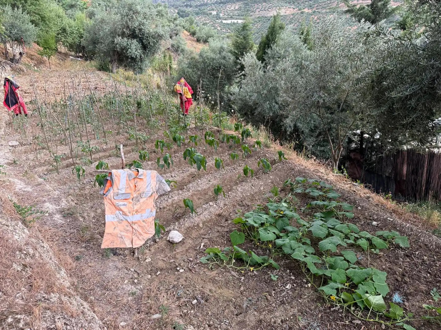 Country house zum Verkauf in Jaén mit Privatgarten, Terrasse und Schwimmbad