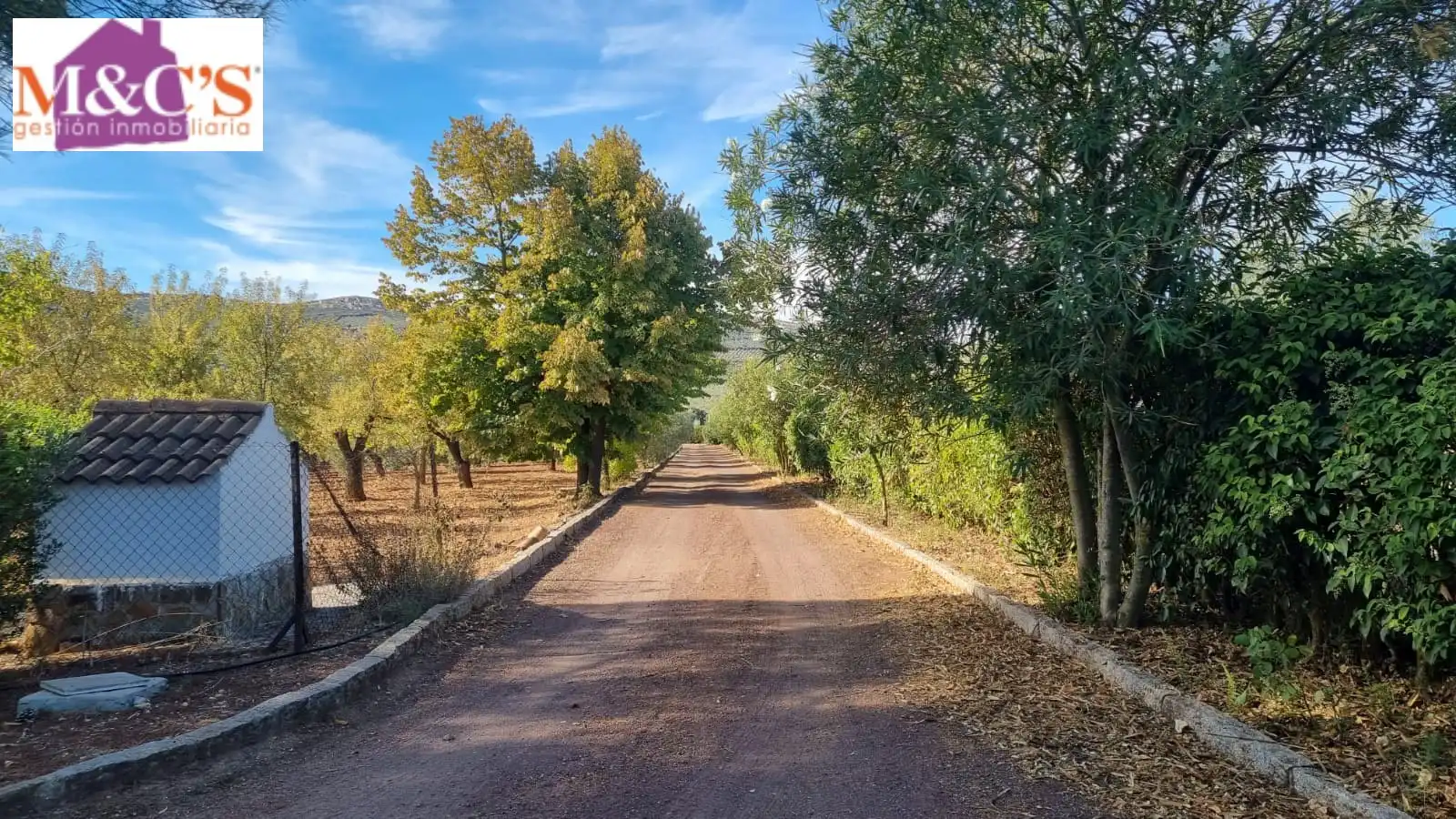 Chalet con terraza en venta en Almodóvar del Campo, imagen 2