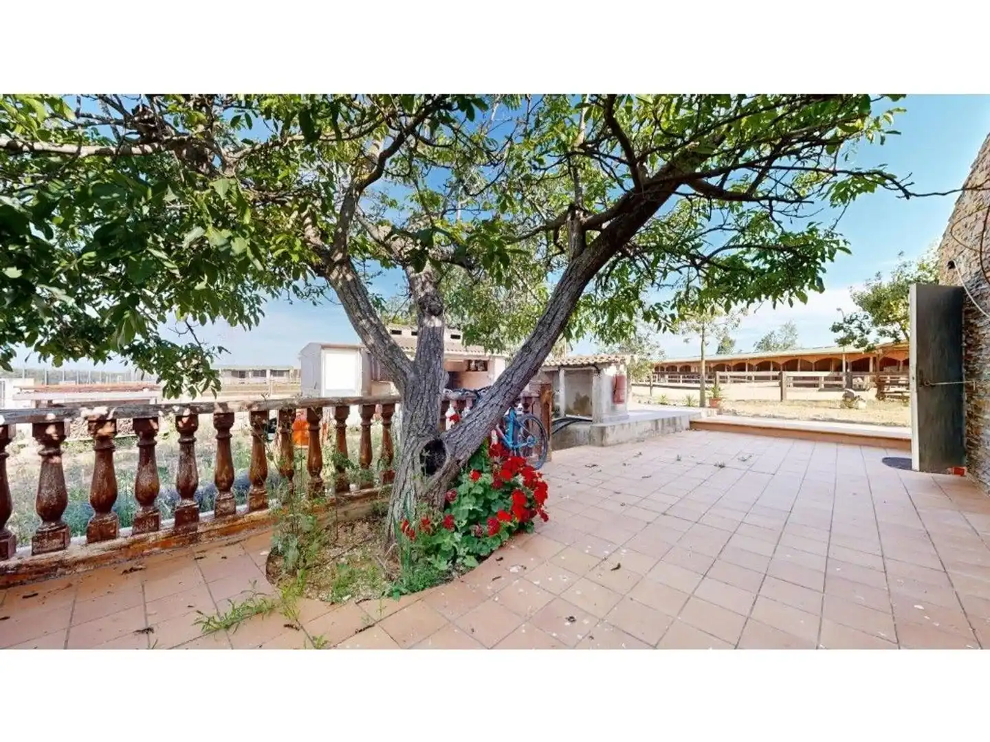 Jardí de Casa o xalet en venda en Carlet amb Jardí privat, Terrassa i Traster