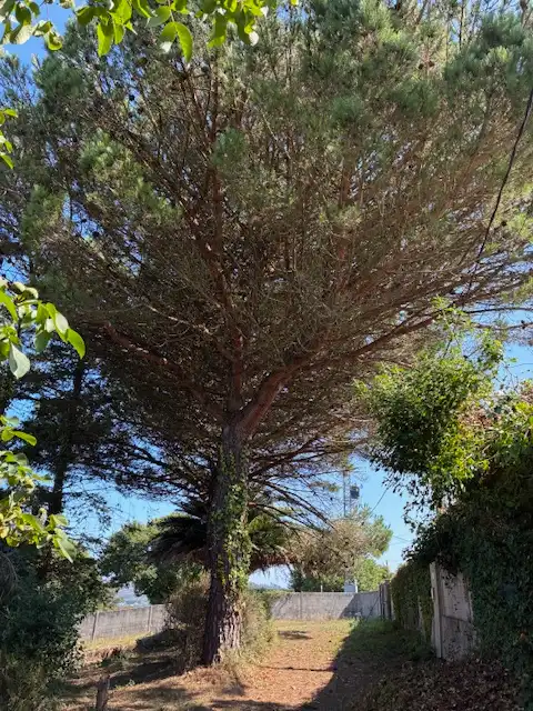Maison avec jardin à vendre à Loureda - Lañas - Barrañán, imagen 42