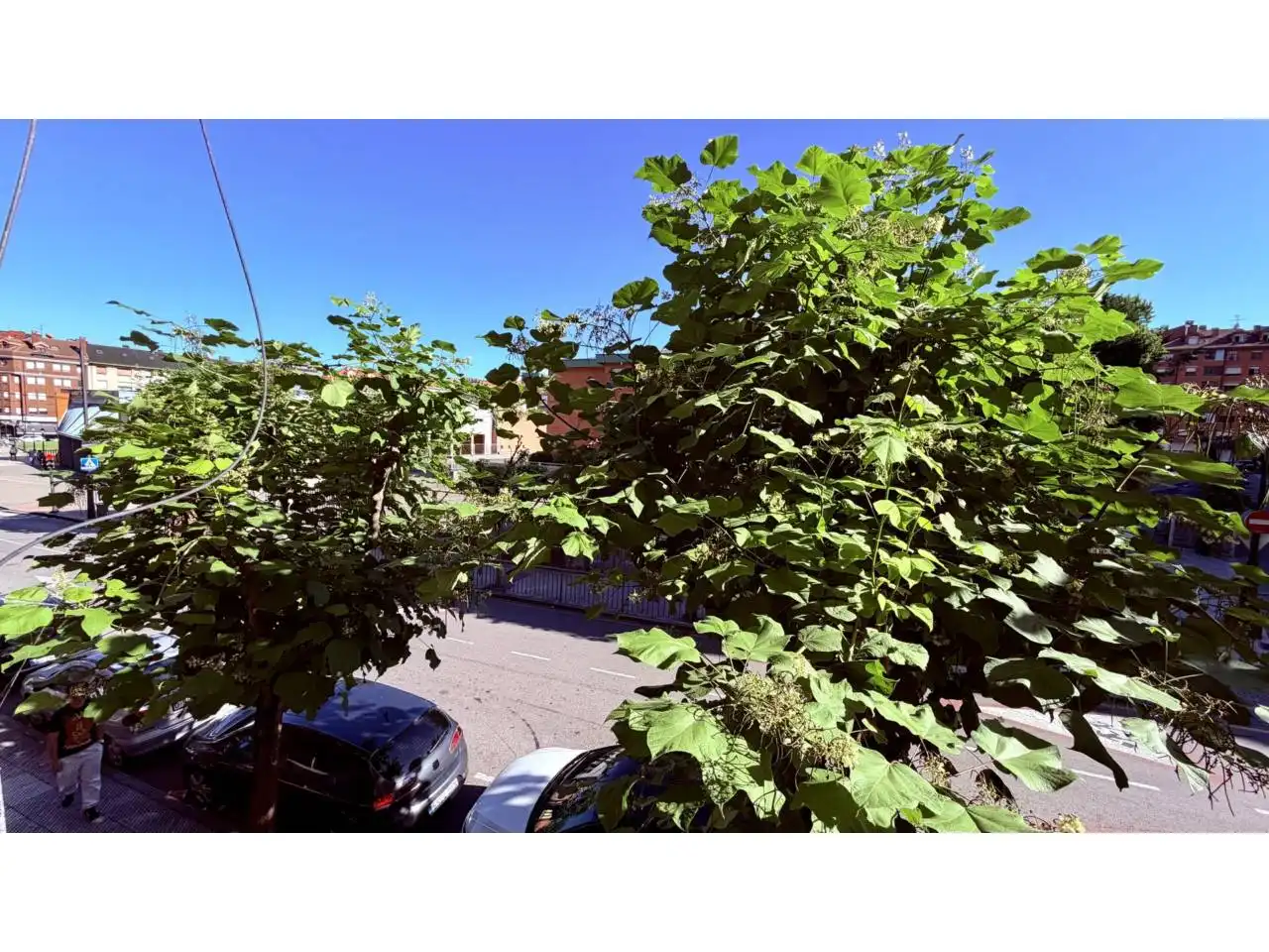 Vista exterior de Pis en venda en Oviedo  amb Terrassa