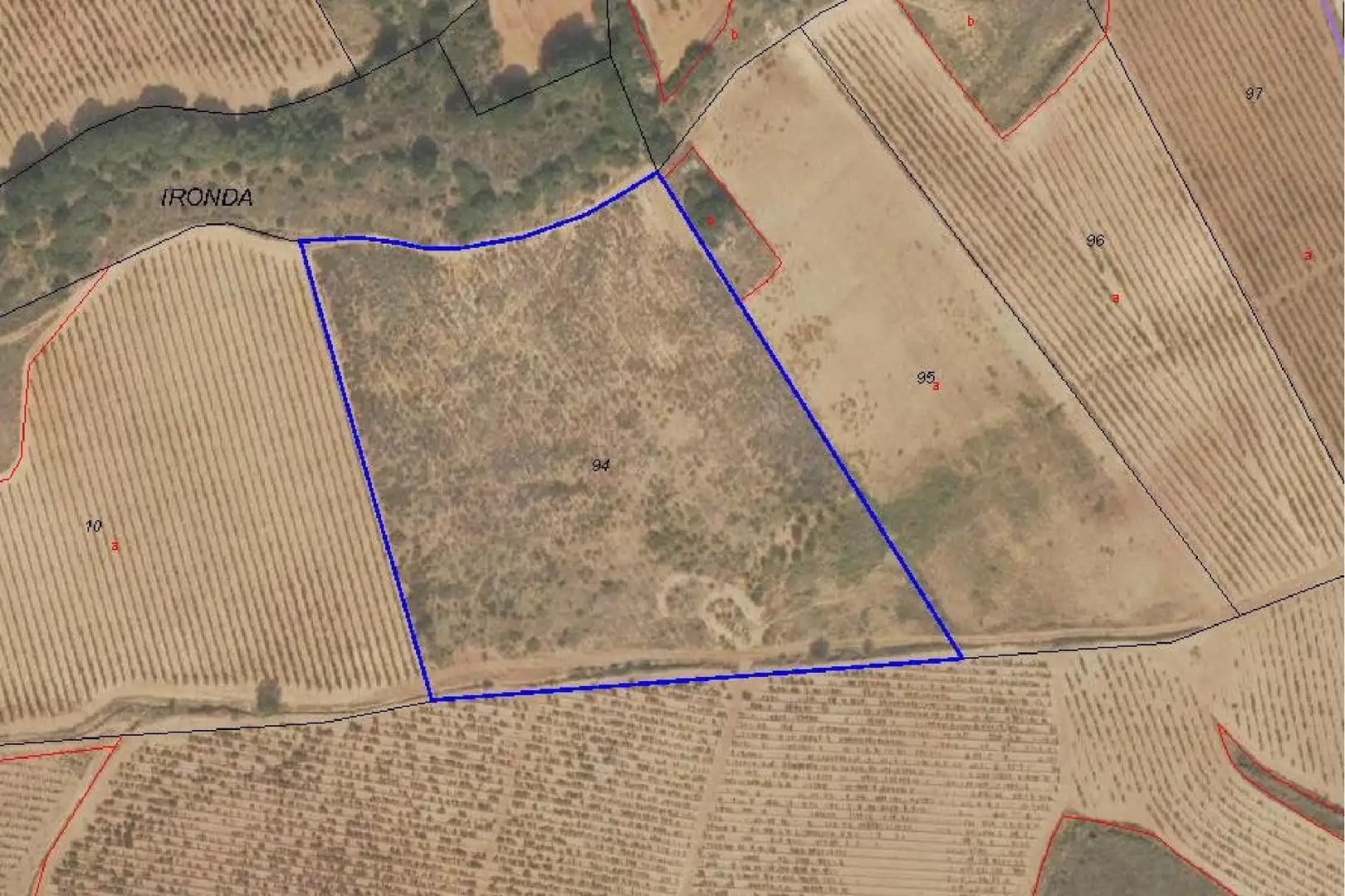 Terreny rústic en venda a Navarrete, imagen 3