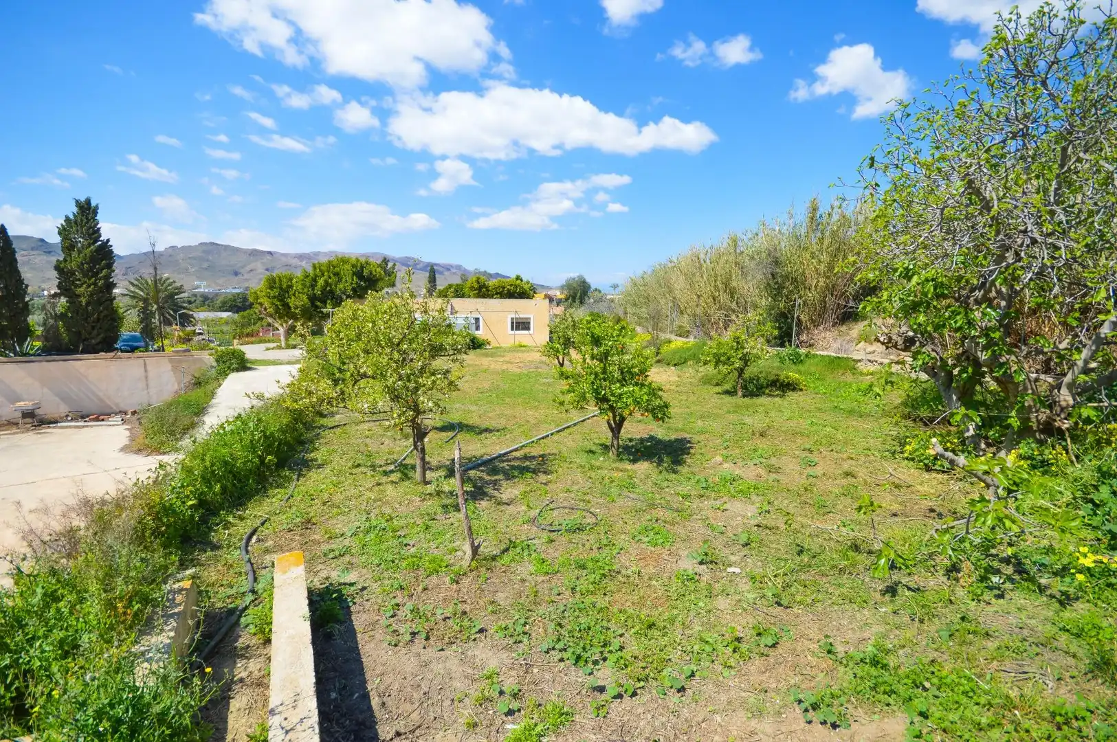 Finca rústica en venda en Pechina amb Aire condicionat, Jardí privat i Terrassa
