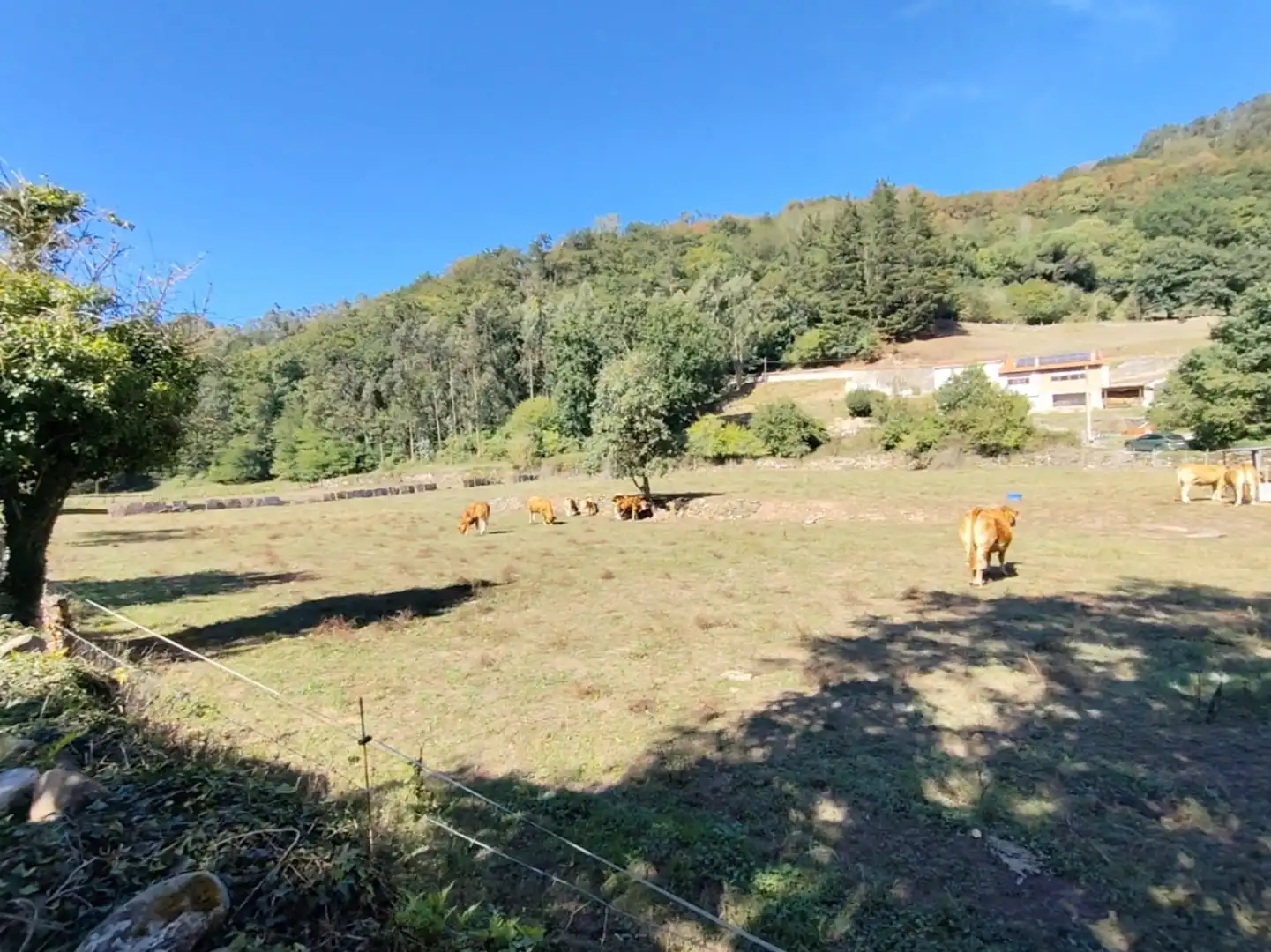 Maison avec jardin à vendre à San Juán de Raicedo - BO SAN JUAN RAICEDO, imagen 23
