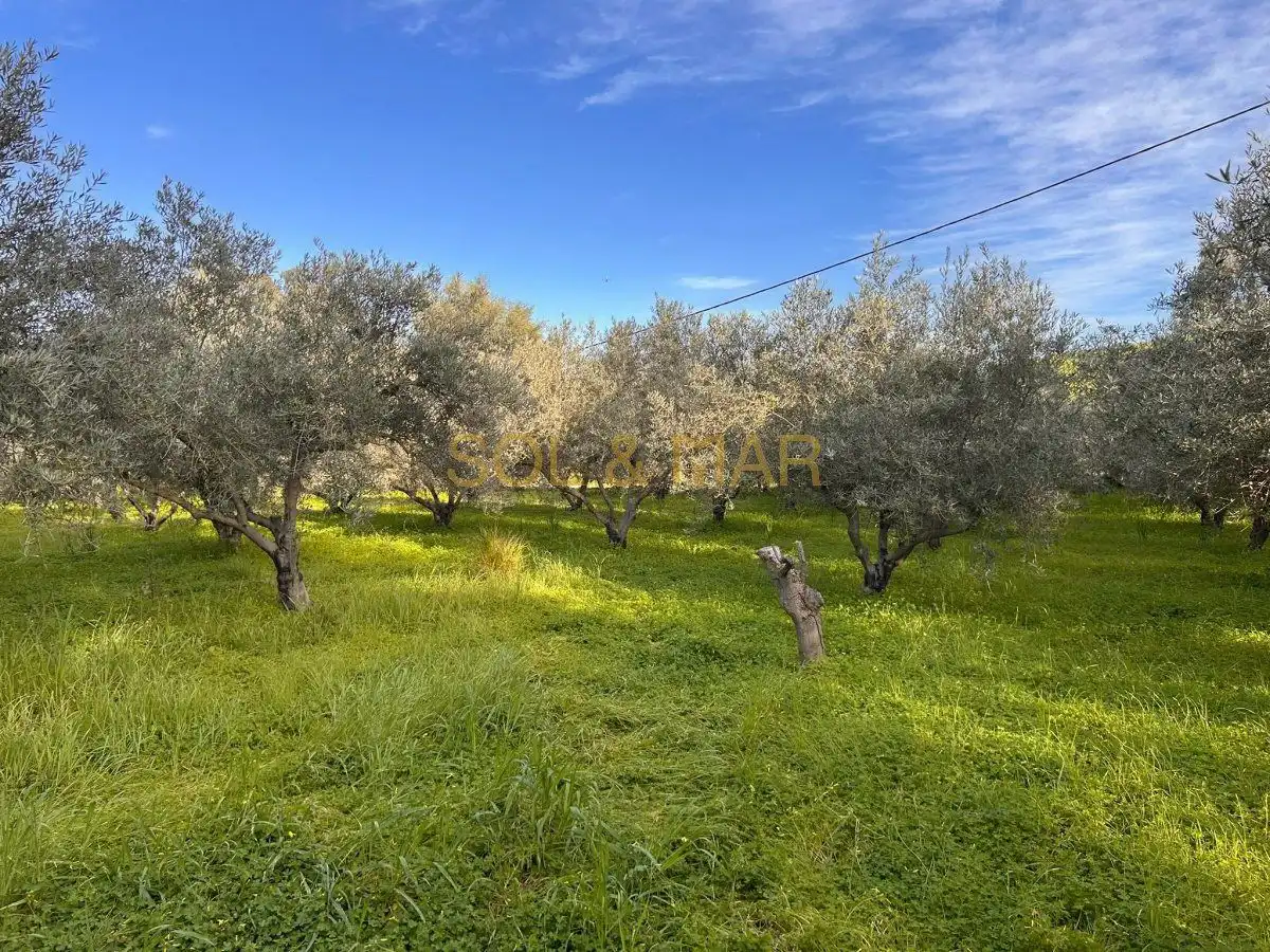 Casa rústica en venta en Nueva Aljaima - Las Tres Leguas - Los Mondeños, imagen 14