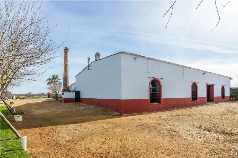 Casa rústica amb terrassa en venda a Carretera Guadajoz, imagen 9