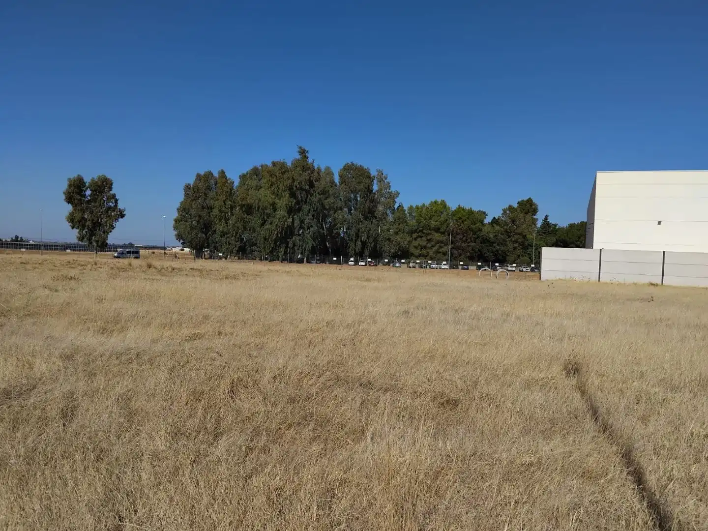 Terreno industrial en venta en Carmona