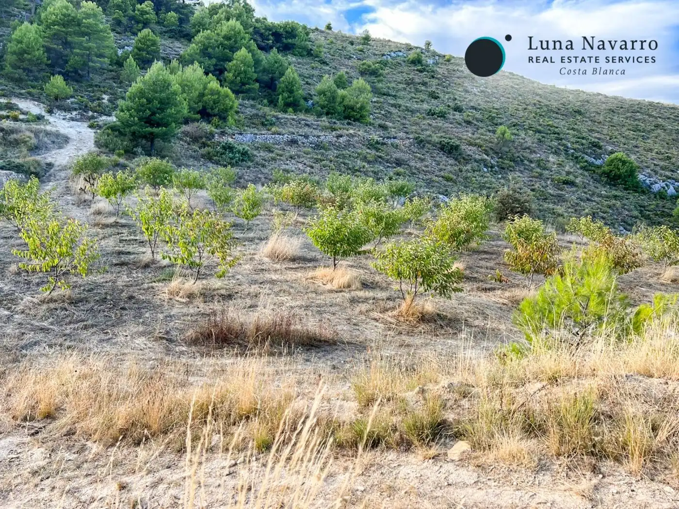 Terreno en venta en Calle San Antonio, 50, Confrides