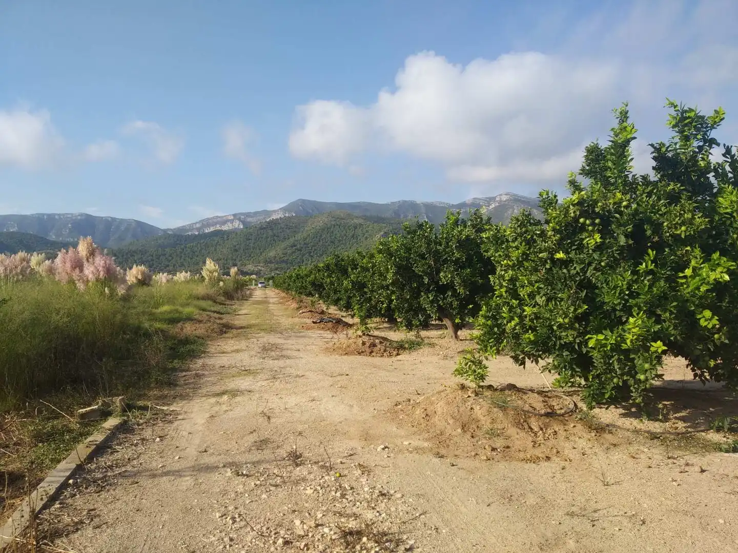 Lands and plots for sale in Favara