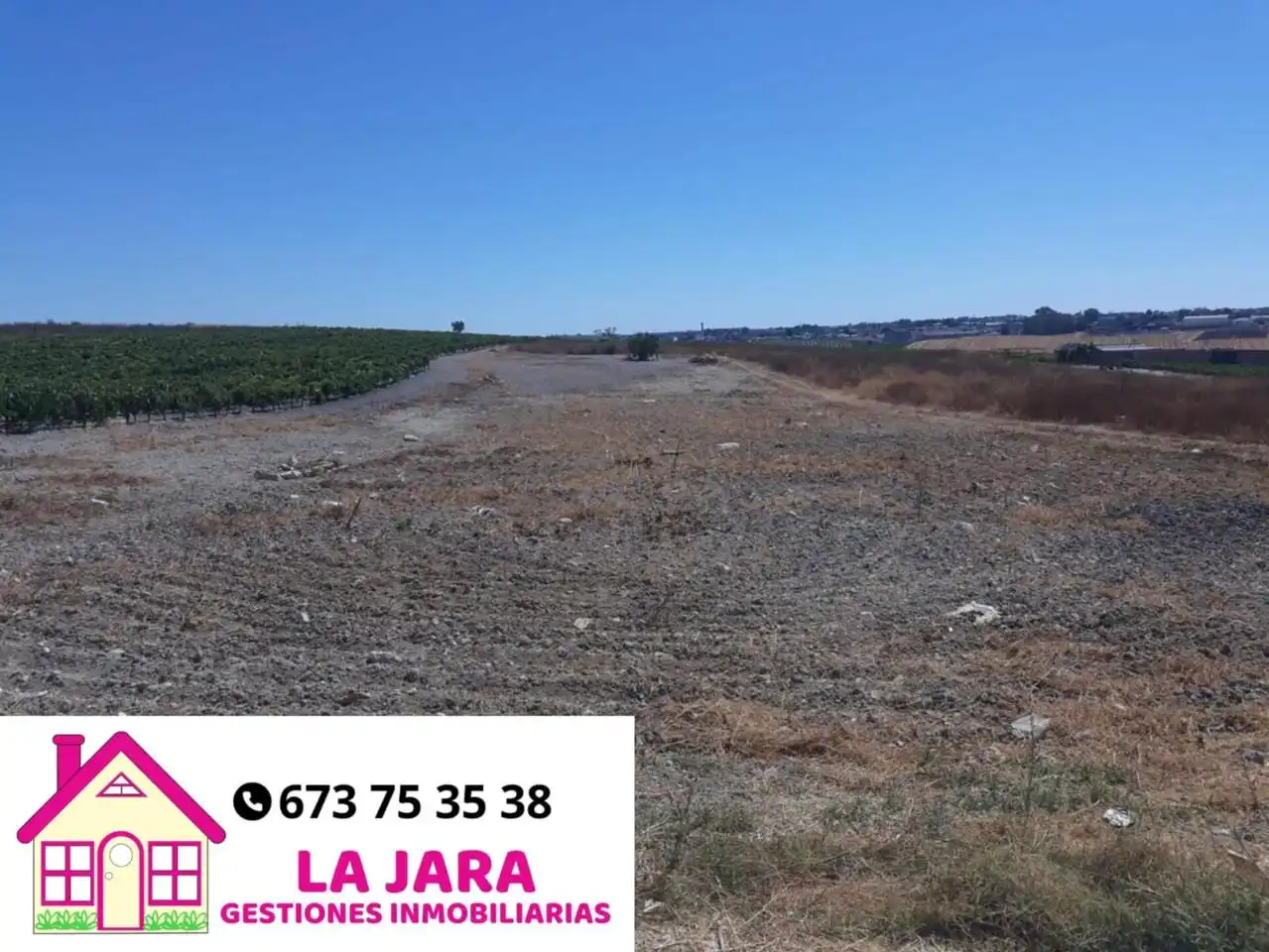 Terrenys i solars en venda a Del Hornillo