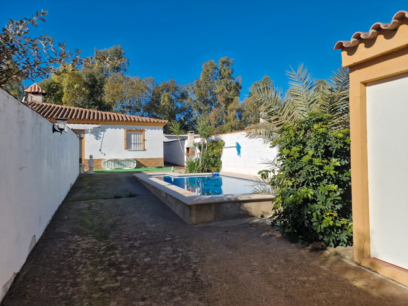 Jardín de Casa o chalet en venta en Chiclana de la Frontera con Amueblado