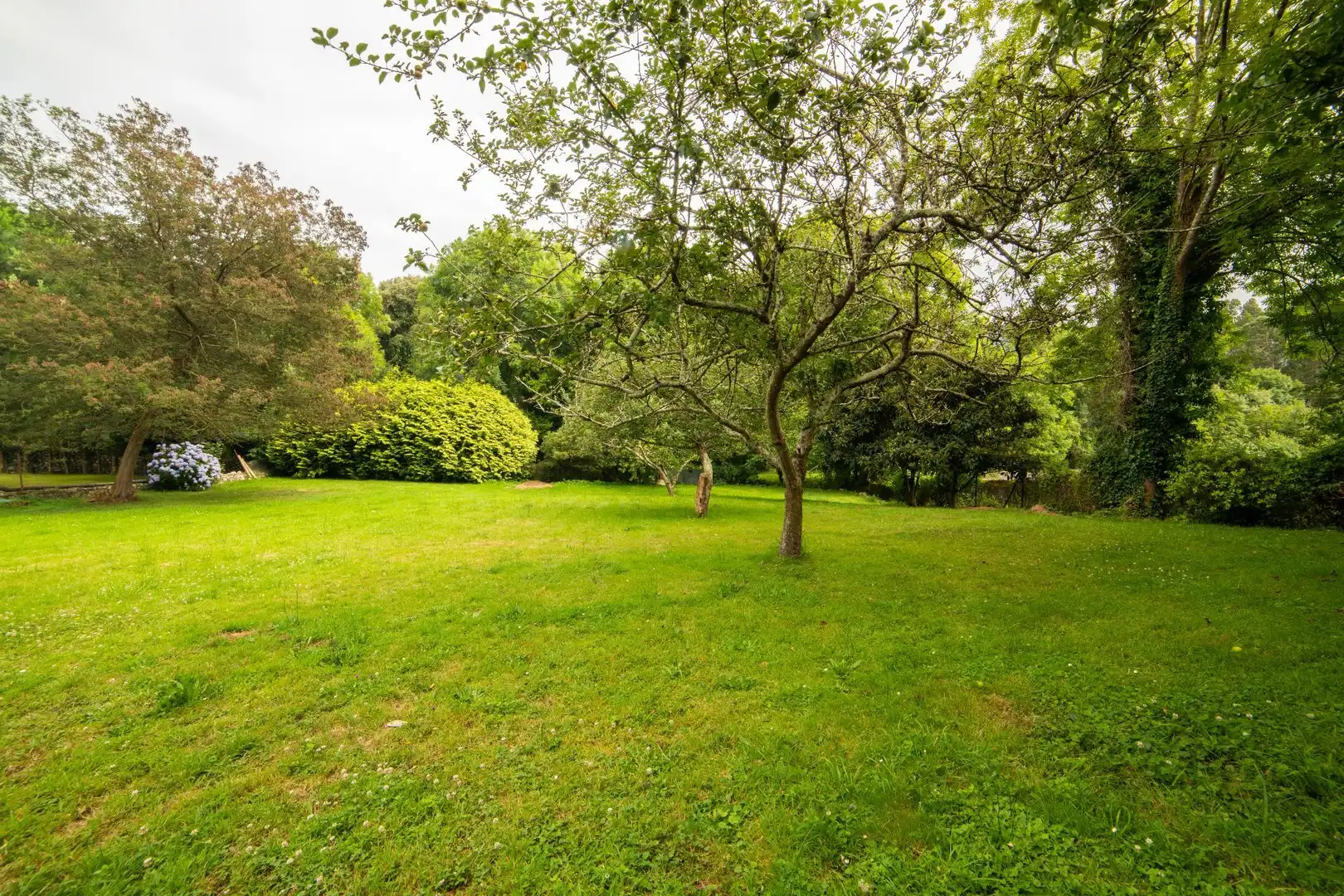Casa con giardino in vendita a Celorio - Poó - Parres, imagen 6