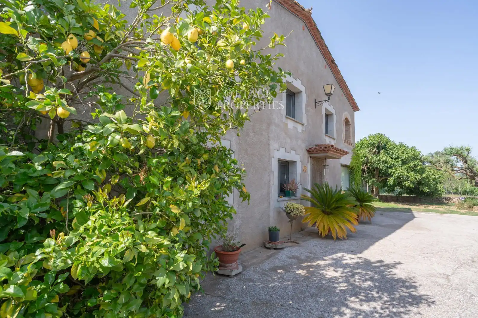 Vista exterior de Finca rústica en venda en Sant Gregori amb Calefacció, Terrassa i Piscina