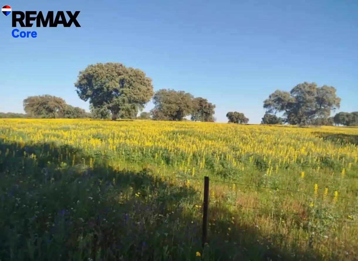 Land for sale in La Roca de la Sierra 