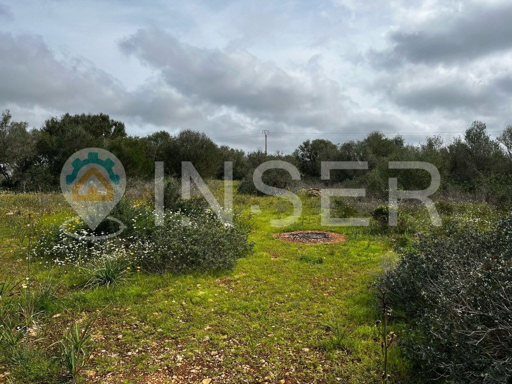 Casa o xalet en venda en Campos