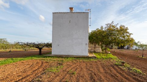 Finca rústica con casa de campo y almacén. Luz eléctrica. Agua de pozo comunitario., imatge 4