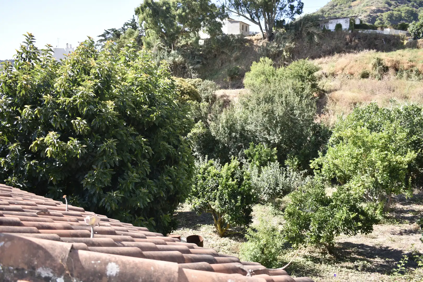 Vista exterior de Casa o xalet en venda en Teror amb Calefacció, Jardí privat i Terrassa