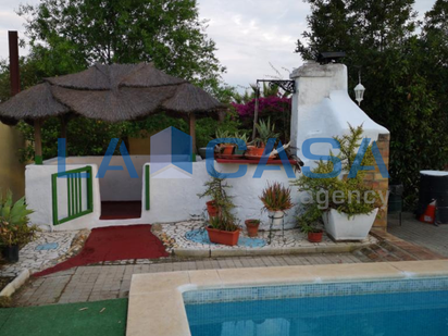 Garden of House or chalet for sale in Villamanrique de la Condesa  with Terrace and Storage room