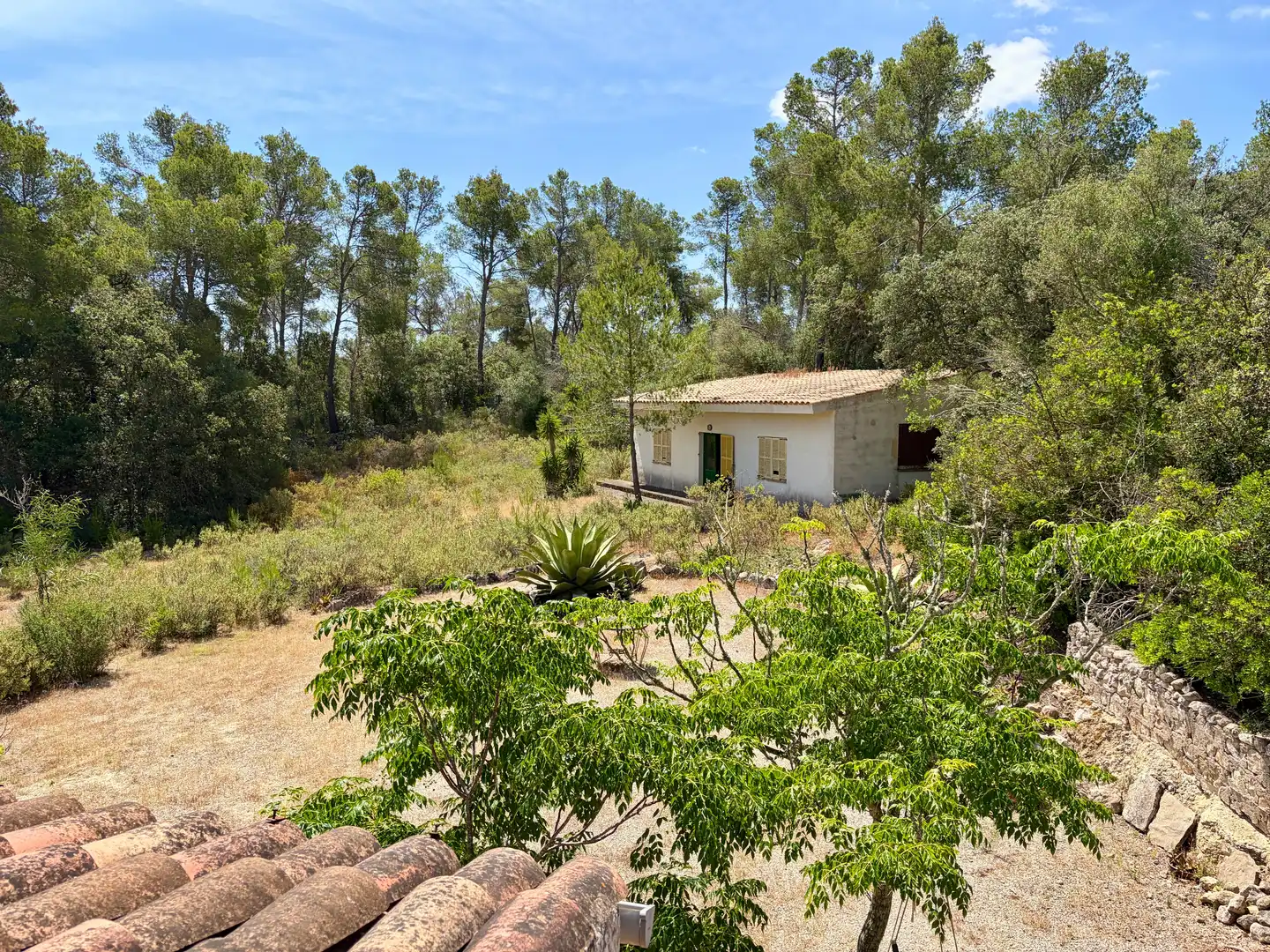 Casa rustica con piscina in vendita a Vilafranca de Bonany, imagen 17