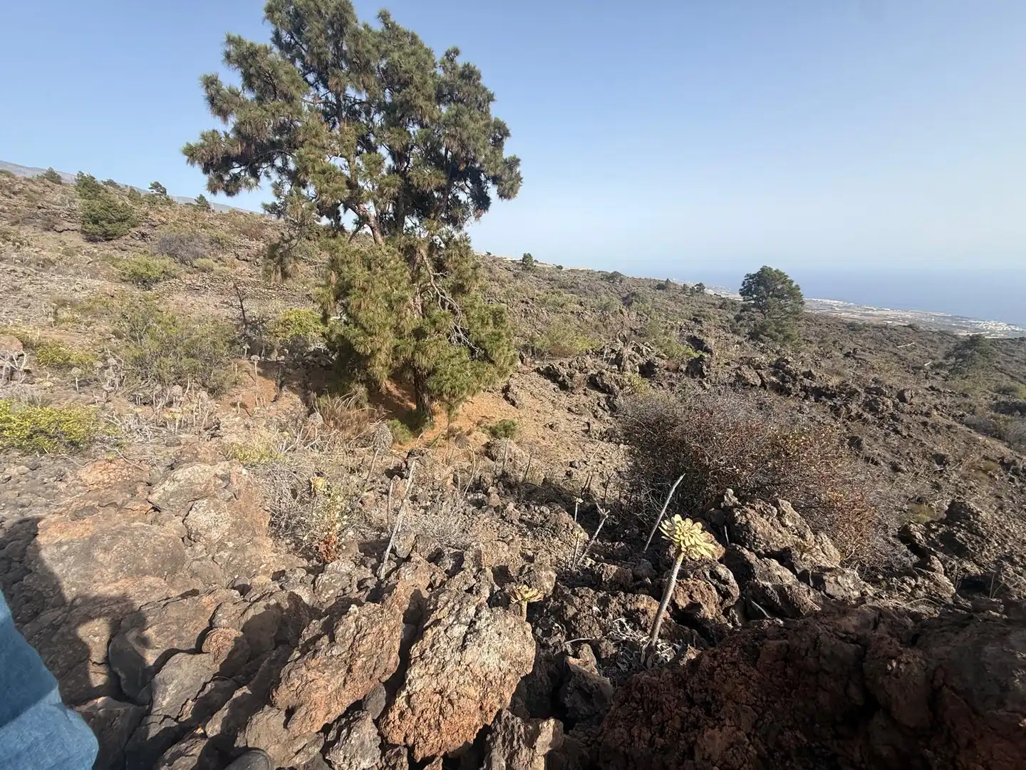 Rural land for sale in N/A, imagen 11