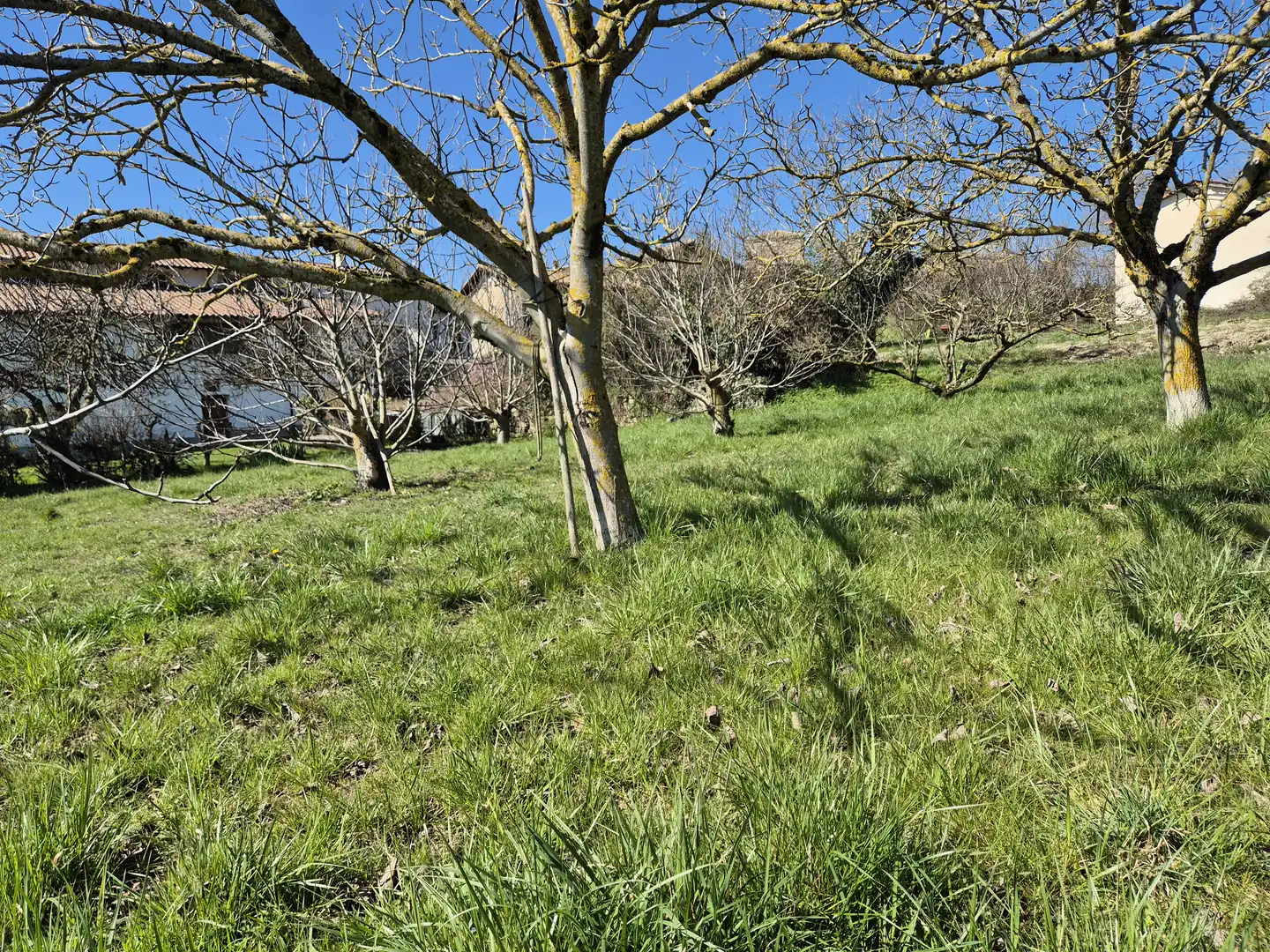 Residential land for sale in Calle San Juan 34, imagen 16
