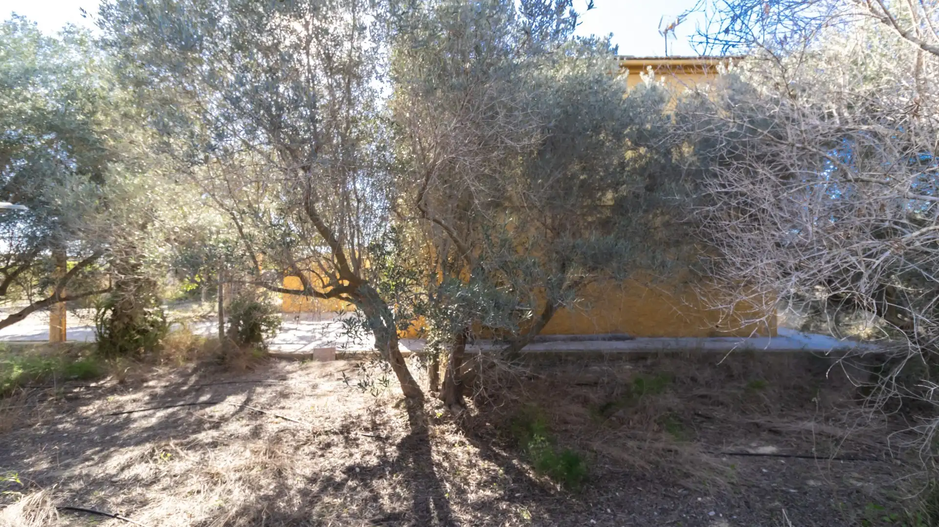 Casa o chalet en venta en Elche / Elx con Trastero y Piscina