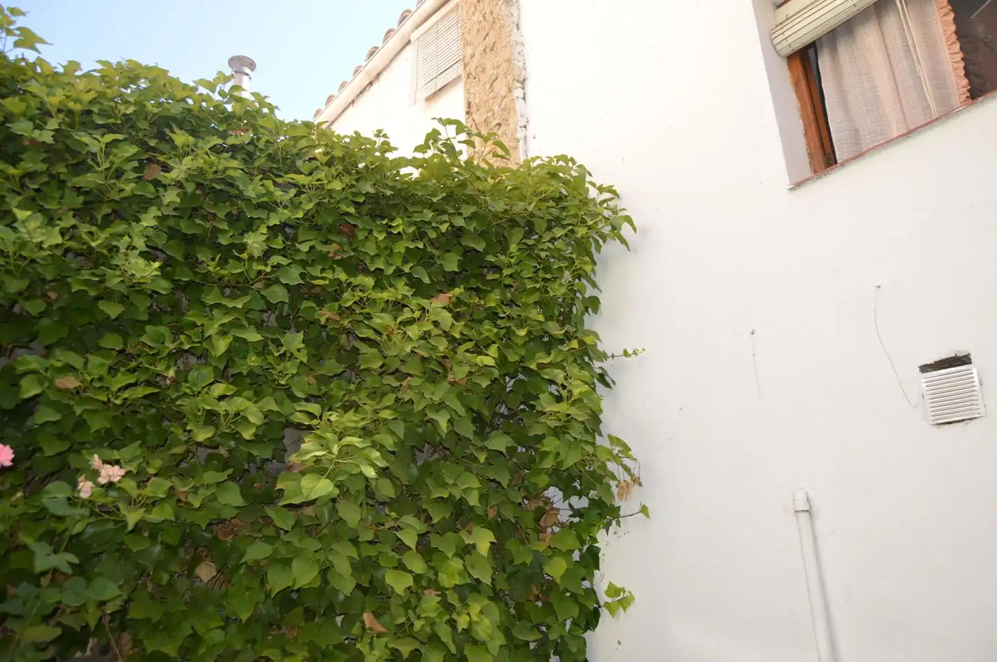 Exterior view of Houses for sale in Huete  with Furnished