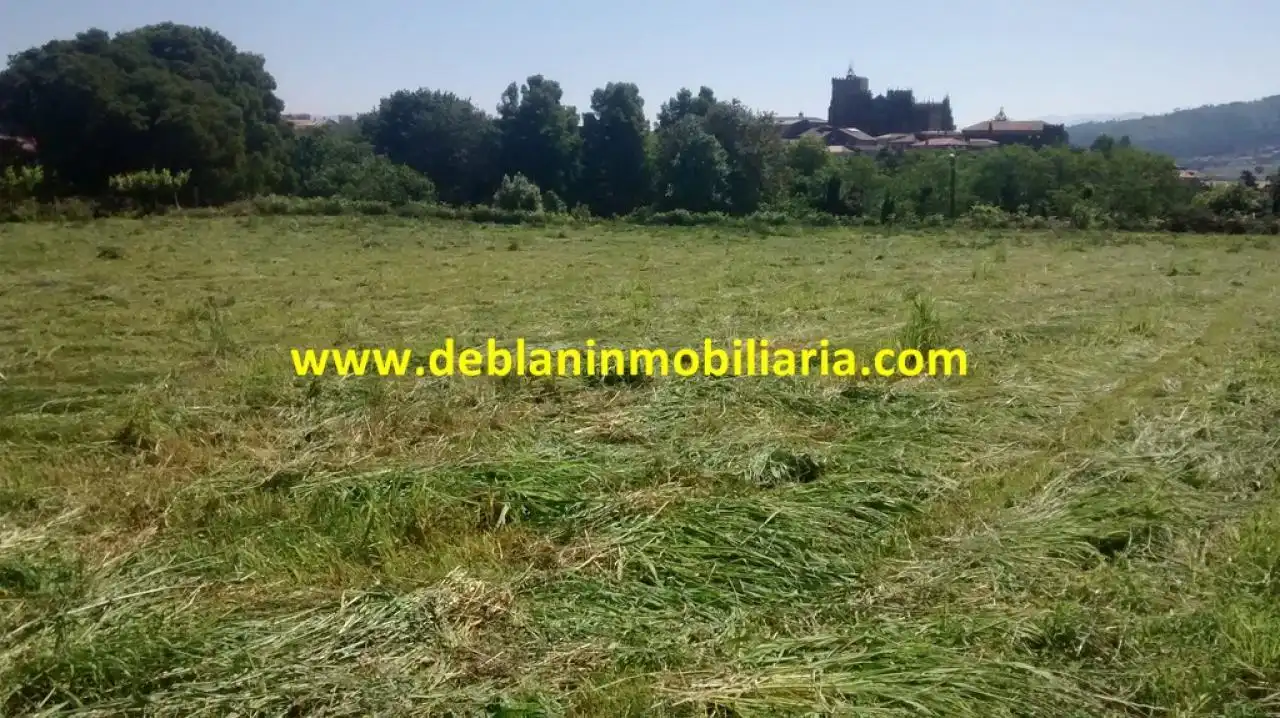 Terreno rústico en venta en Tui, imagen 8