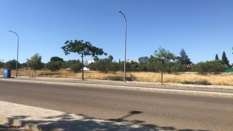Residencial en venta en Palomares del Río