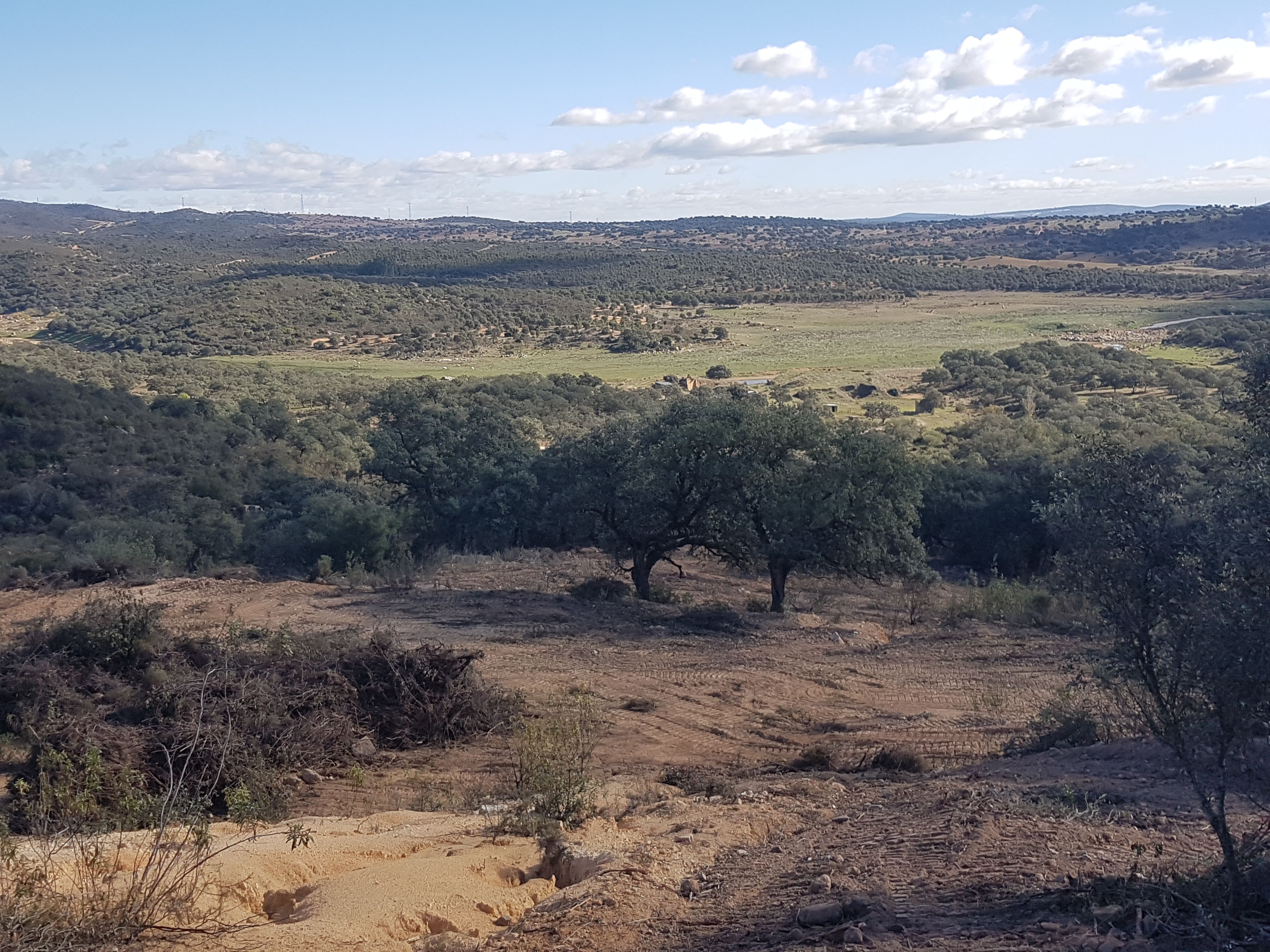 Residencial en venda en El Ronquillo