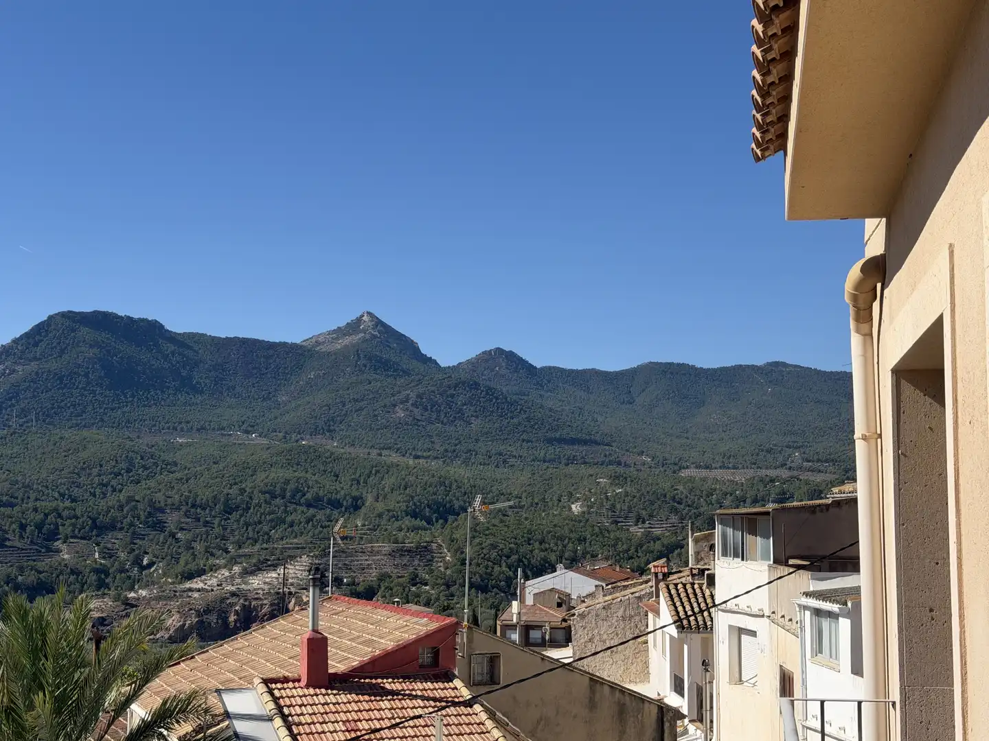 Exterior view of Flat for rent in Tibi, Alicante