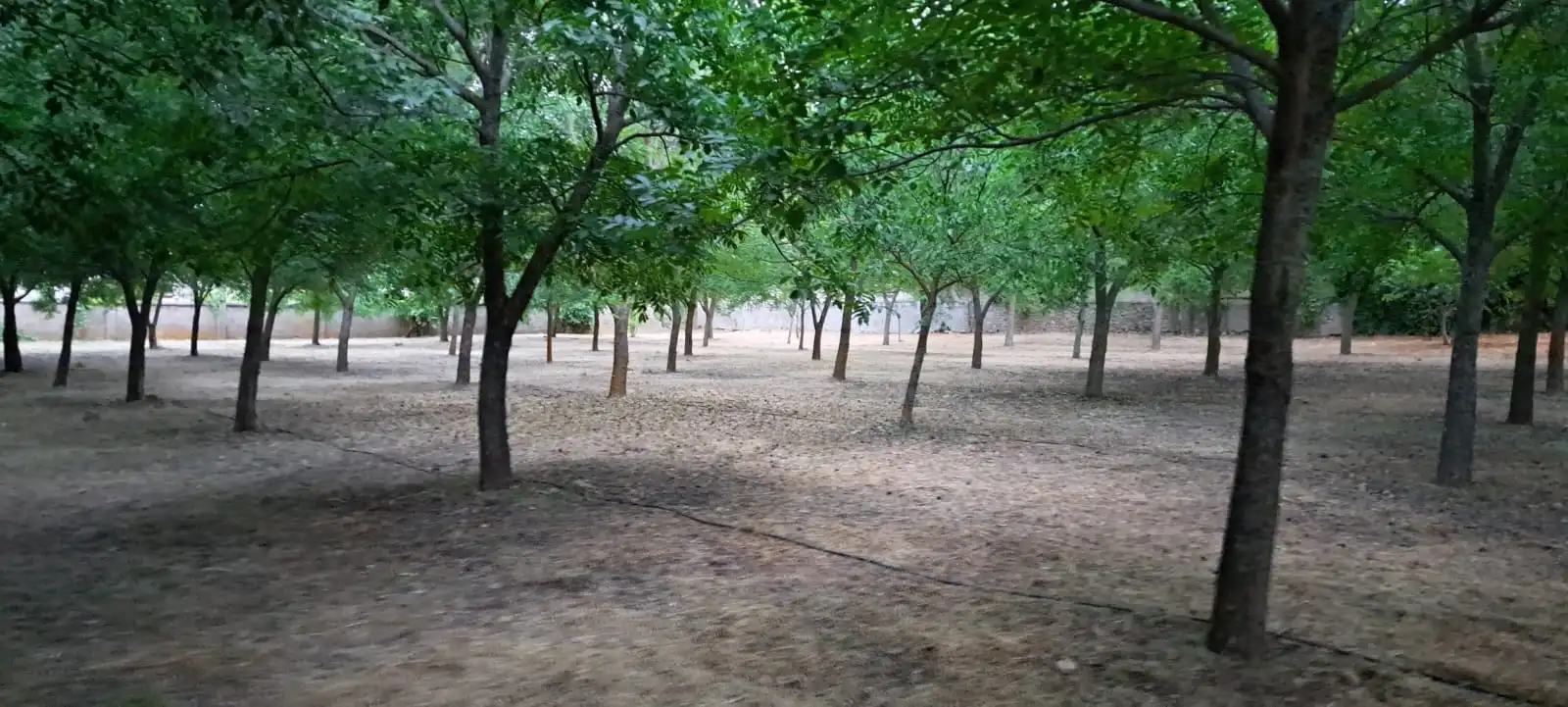 Terreno residenziale in vendita a Calle la Cruz, imagen 4