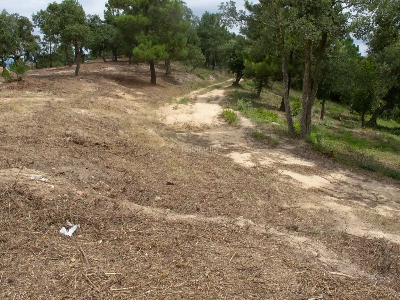 Terreno residencial en venta en Carrer de Sant Marc 129, imagen 11