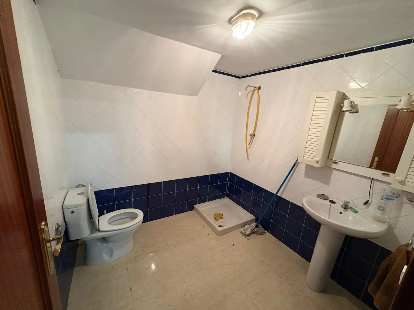 Bathroom of Industrial buildings for sale in Espartinas