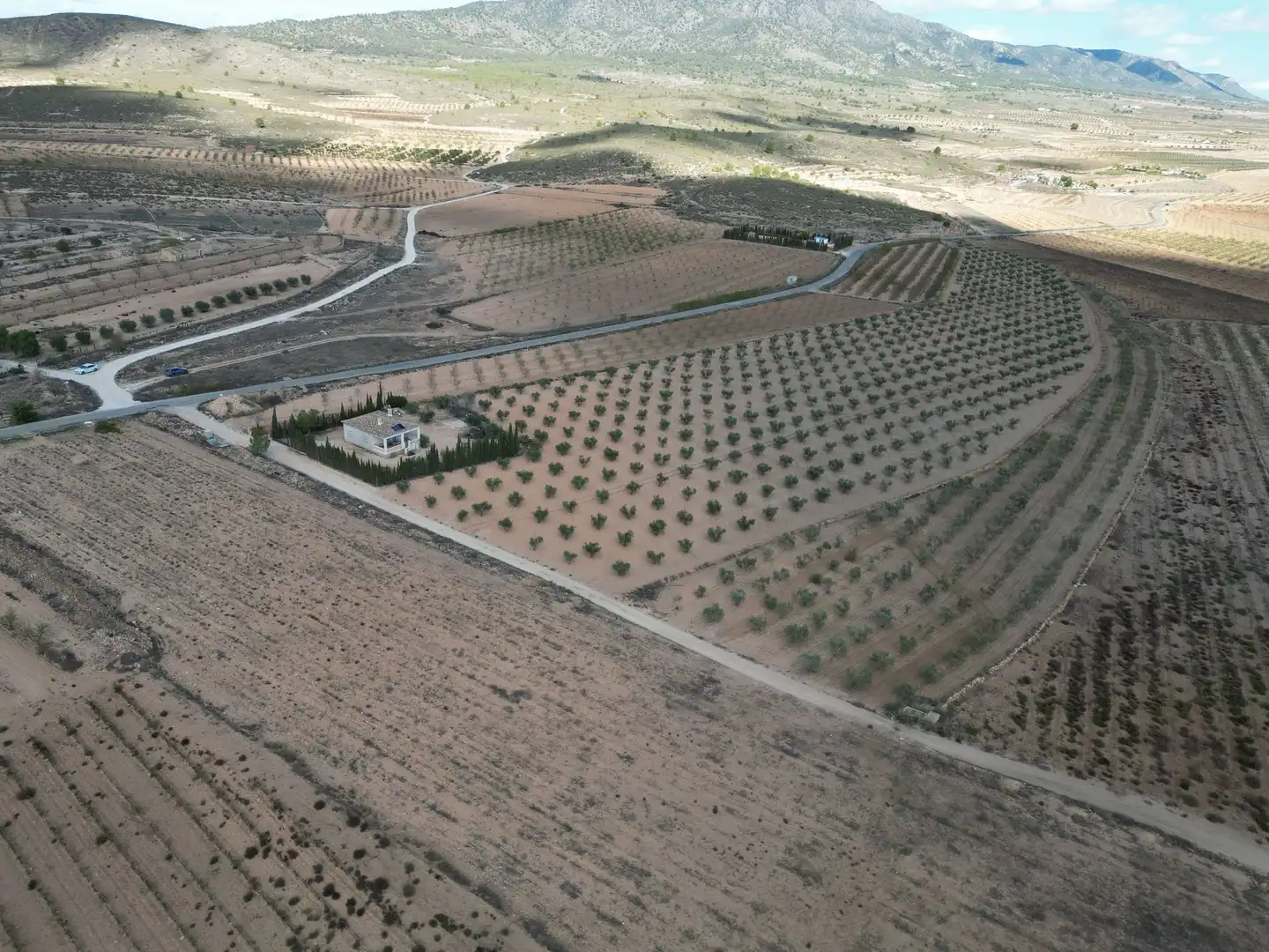 Terreno residencial en venta en El Pinós / Pinoso, imagen 4