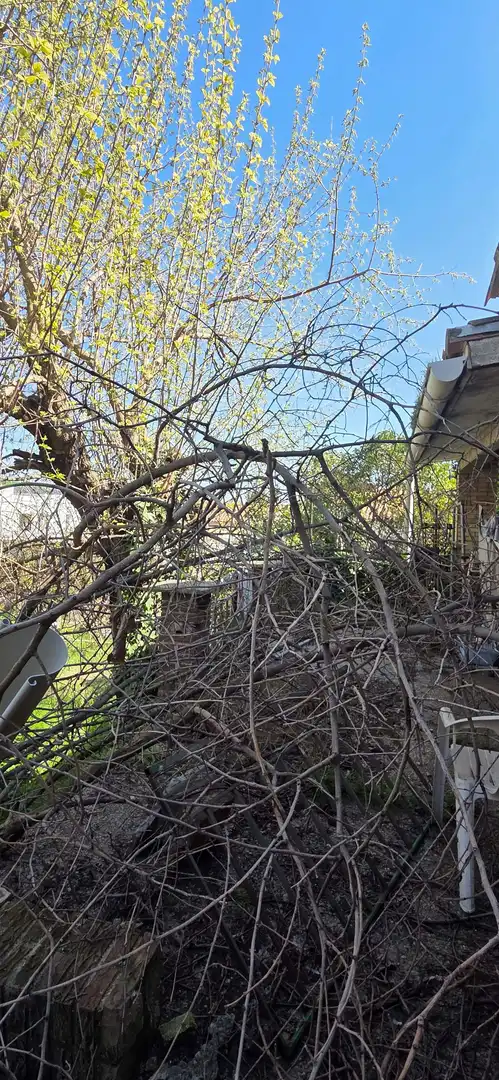 Jardí de Casa o xalet en venda en Sevilla la Nueva amb Calefacció i Piscina