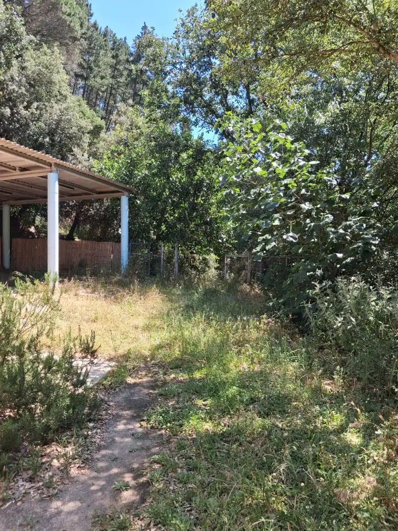 Casa con jardín en alquiler en Vallgorguina, imagen 18