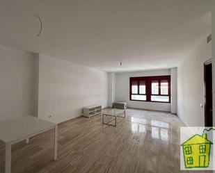 Sala d'estar de Pis en venda en Andújar amb Aire condicionat i Calefacció