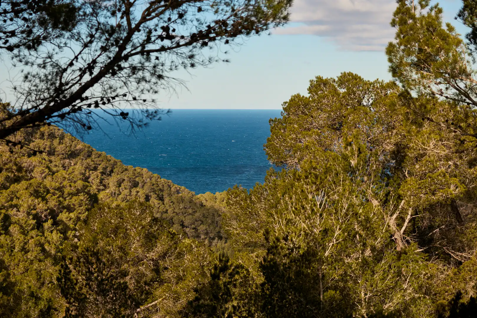 Finca rústica en venda en Sant Joan de Labritja amb Aire condicionat, Jardí privat i Parquet