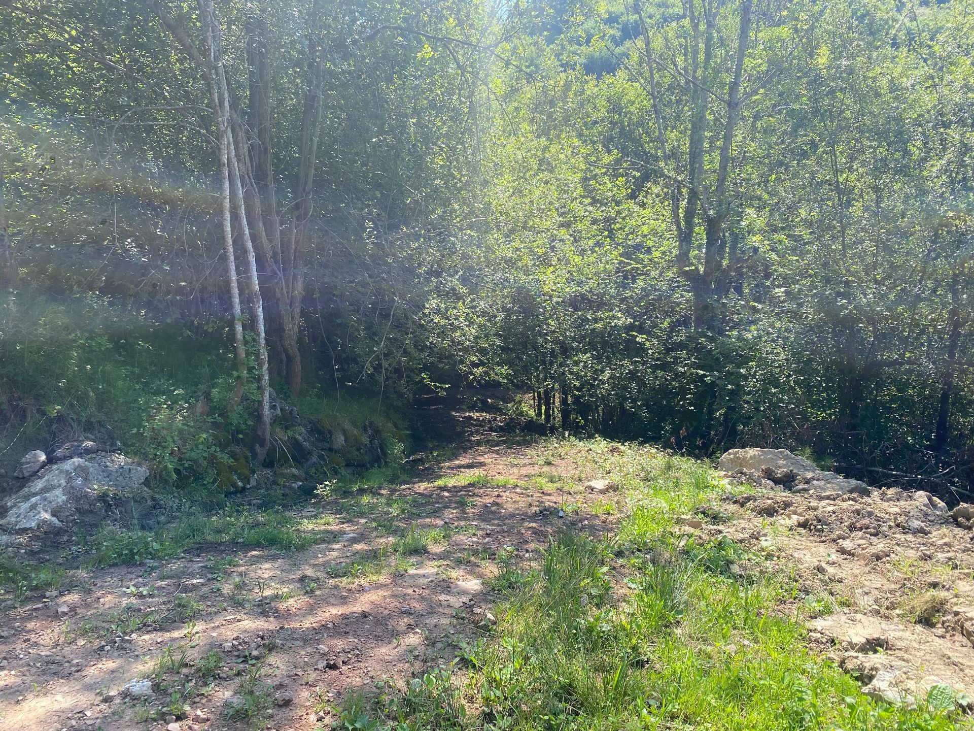 Land for sale in Cangas de Onís