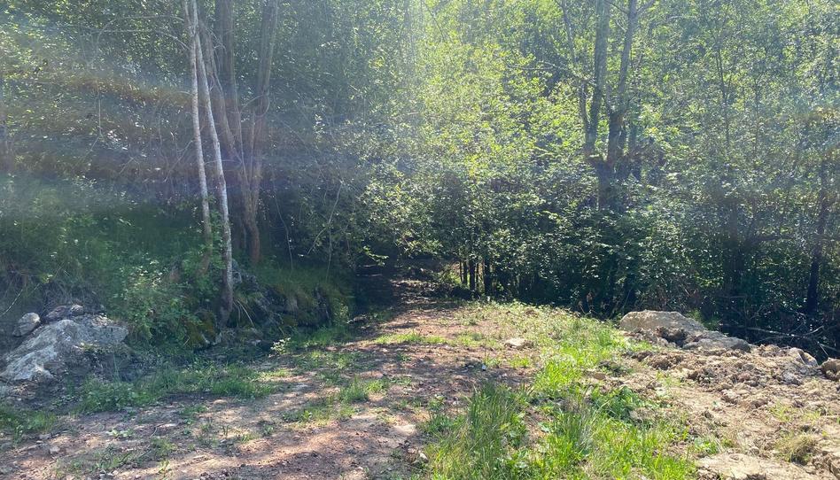 Foto 1 de Terreny en venda a Següenco, Cangas de Onís, Asturias
