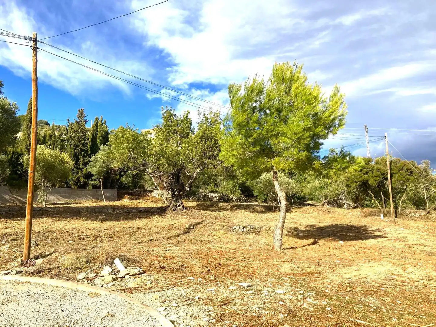 Terreno residenziale in vendita a Carrer de les Oliveres 7, imagen 3