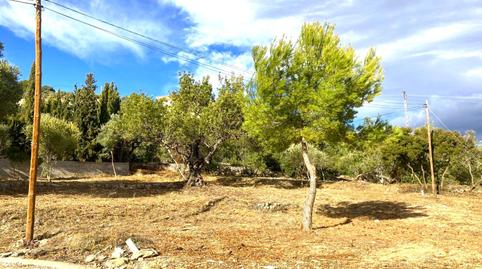 Foto 3 de Residencial en venda a Carrer de Les Oliveres, 7, Closa de Vinaròs - Ermita, Castellón