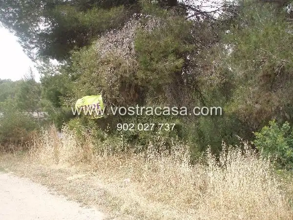 Rustikales Grundstück zum Verkauf in Las Garzas, imagen 2