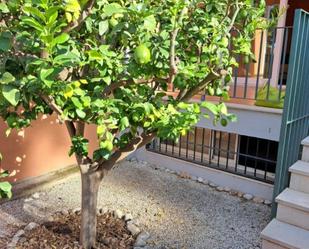 Jardí de Casa adosada en venda en Benicarló amb Terrassa