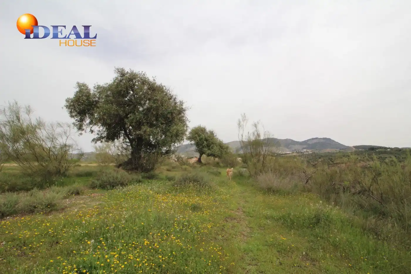 Country homes for sale in Víznar