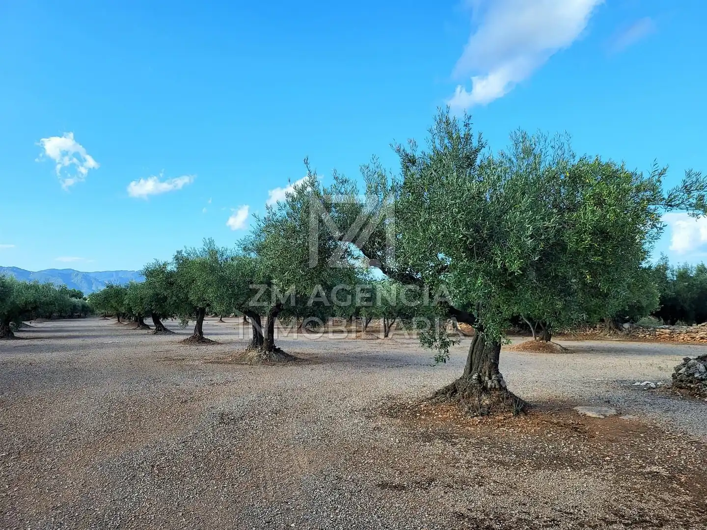 Country house for sale in Rossell, imagen 12