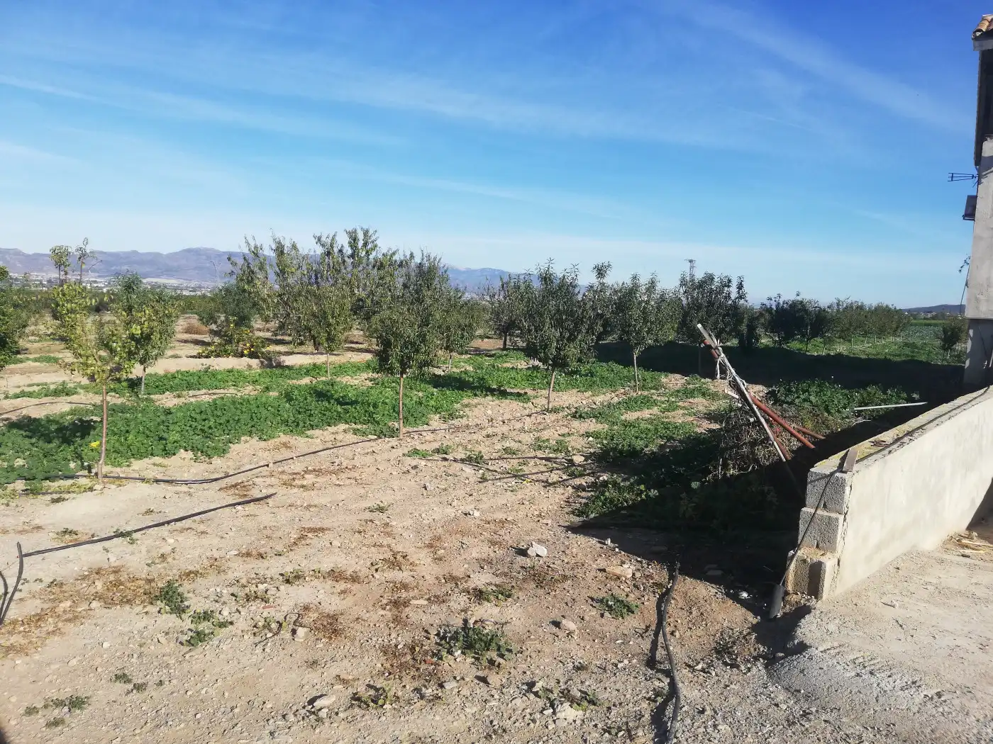 Houses for sale in Lorca  with Private garden